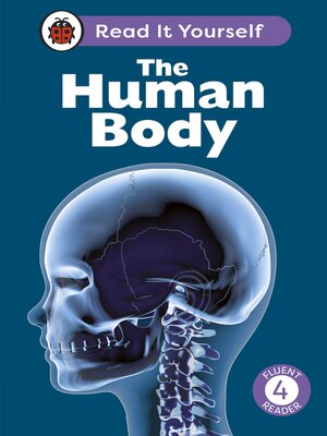cover image of The Human Body